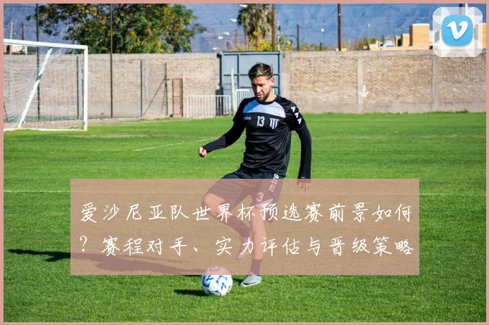 爱沙尼亚队世界杯预选赛前景如何？赛程对手、实力评估与晋级策略全解析