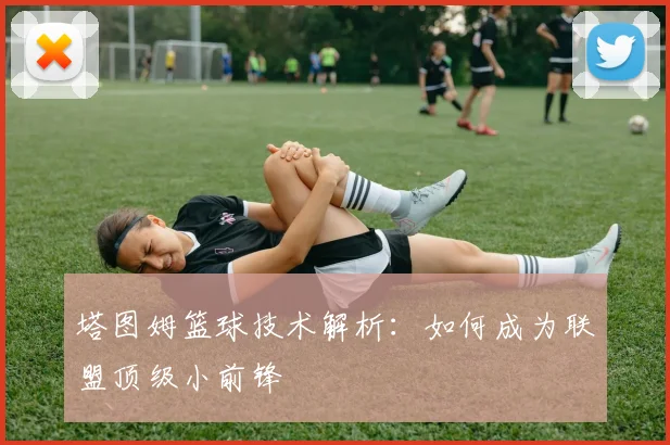 塔图姆篮球技术解析:如何成为联盟顶级小前锋
